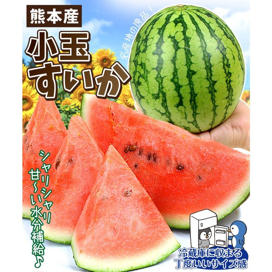 スイカ 3玉（3.5〜4kg入り）植木の小玉すいか 熊本産 送料無料 食品