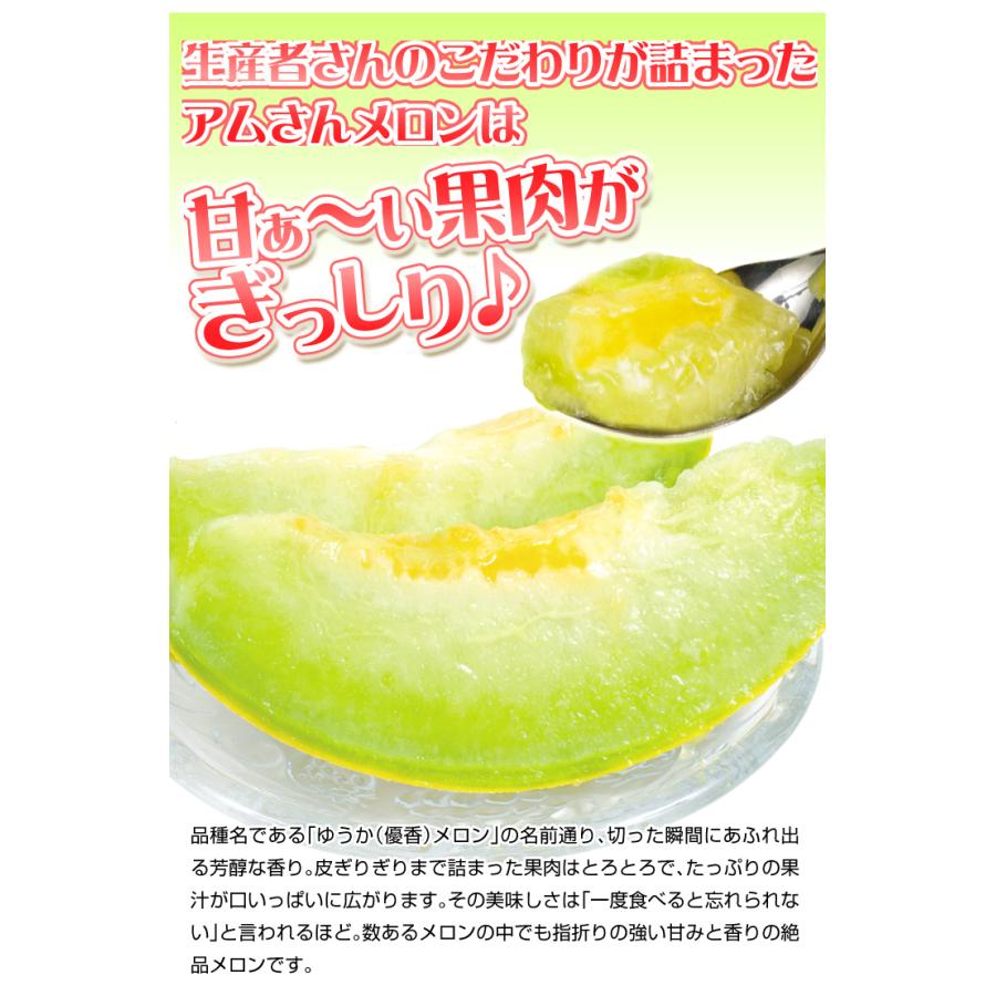 メロンさん専用 メロン アムさんメロン 2玉 青森産 ゆうか 冷蔵便 送料無料 食品