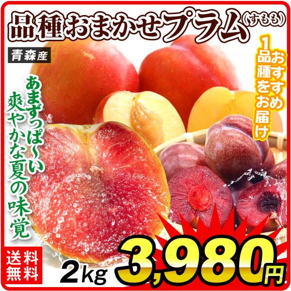もも 2kg 品種おまかせプラム 青森産 すもも 品種おまかせ 冷蔵便 送料