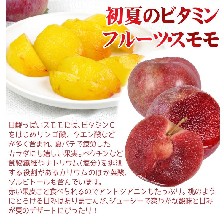 すもも 青森産 品種おまかせ プラム 2kg 冷蔵 送料無料 食品 : 食