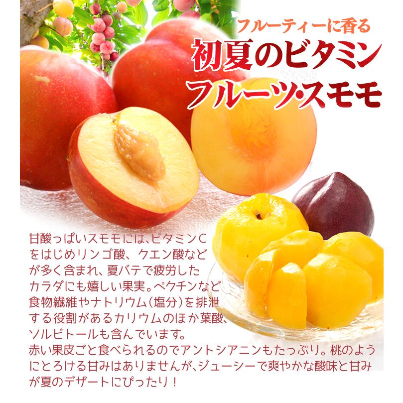 もも 2kg 品種おまかせプラム 青森産 すもも 品種おまかせ 冷蔵便 送料