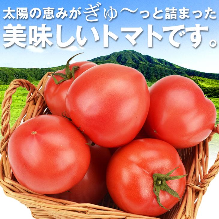熊本産トマト 4Kg