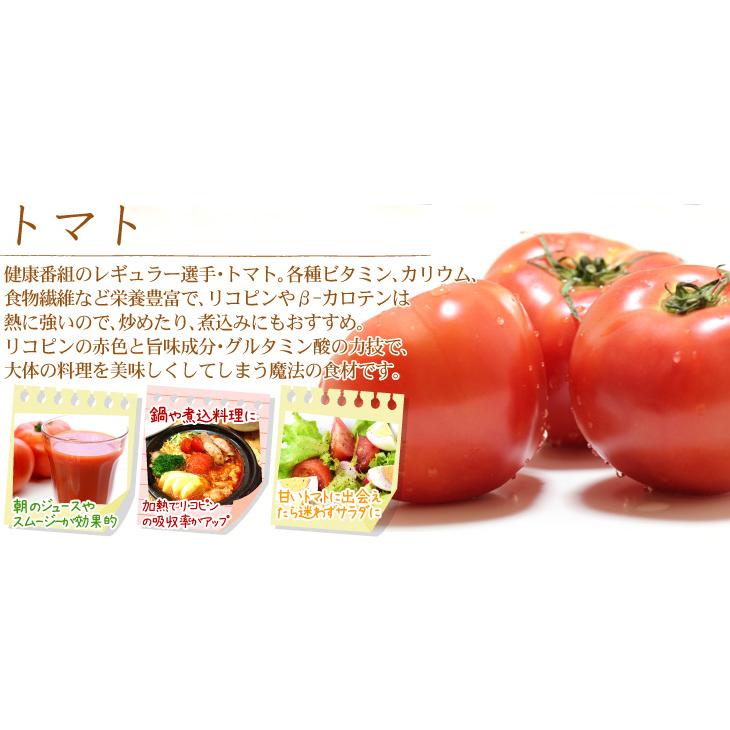 熊本産トマト 4Kg トマト 約4kg 熊本産 ご家庭用 ケース売り 送料無料 食品 : 食みらい