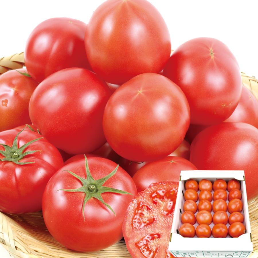 熊本産トマト 4Kg トマト 約4kg 熊本産 ご家庭用 ケース売り 送料無料 食品 : 食みらい
