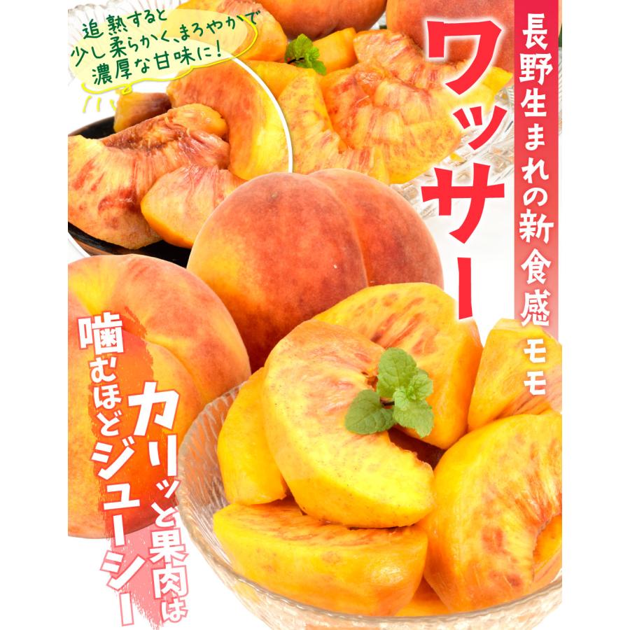 もも 5kg ワッサー 長野産 ご家庭用 桃 ピーチ 果物 フルーツ