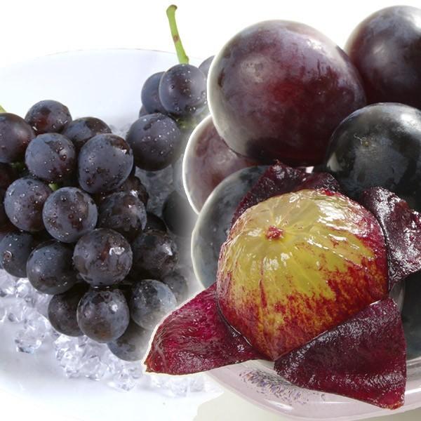 巨峰　出品　13個 ぶどう 約700g 超早出し 巨峰 熊本産 福岡産 訳あり きょほう 350g