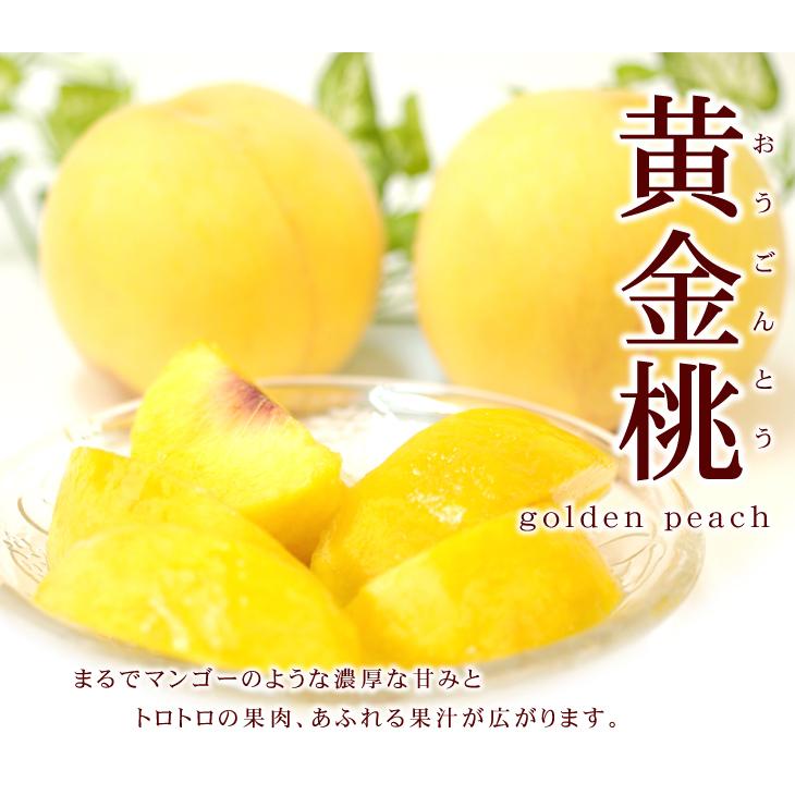 桃 長野産 黄金桃 1.5kg 1箱 黄桃 もも 産地直送 送料無料 食品 果物