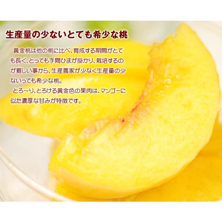 桃 長野産 黄金桃 1.5kg 1箱 黄桃 もも 産地直送 送料無料 食品 果物