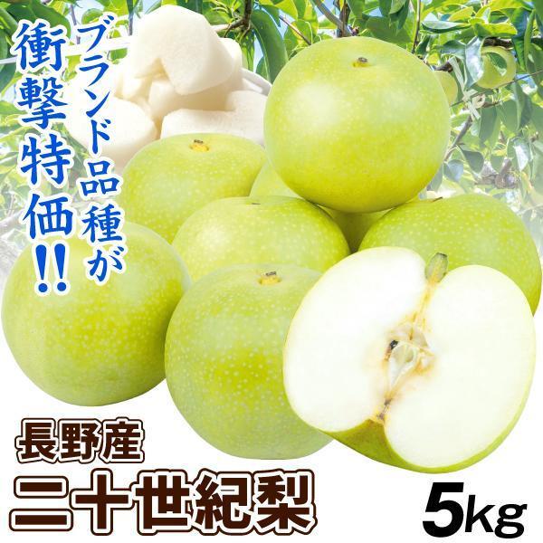 梨 5kg 二十世紀梨 長野産 ご家庭用 青梨 ナシ なし 和梨 名産地 送料無料 食品 : 食みらい・国華園 - 通販 - Yahoo!ショッピング