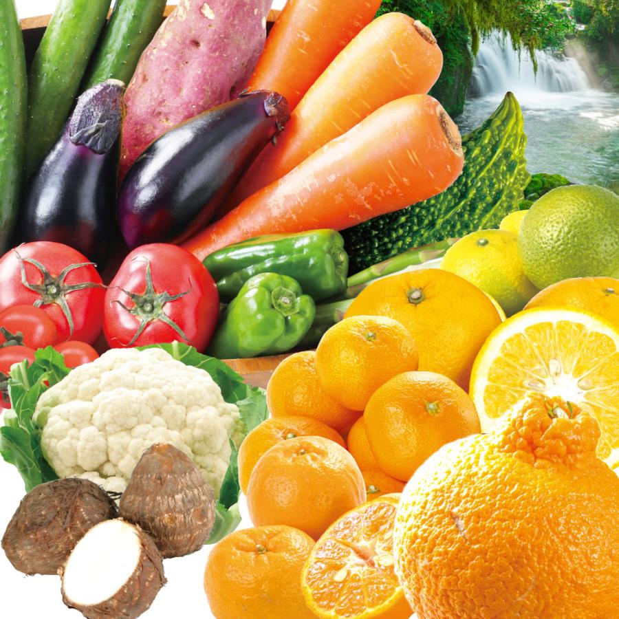 希少！旬の食材シリーズ7冊セット 野菜果物魚 希少！旬の食材シリーズ7冊セット 野菜果物魚 価格