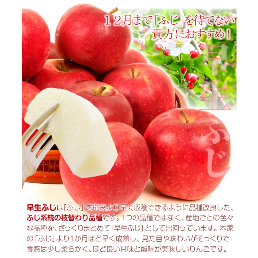 りんご 20kg 早生ふじ 木箱 青森産 数量限定 りんご箱 送料無料 食品