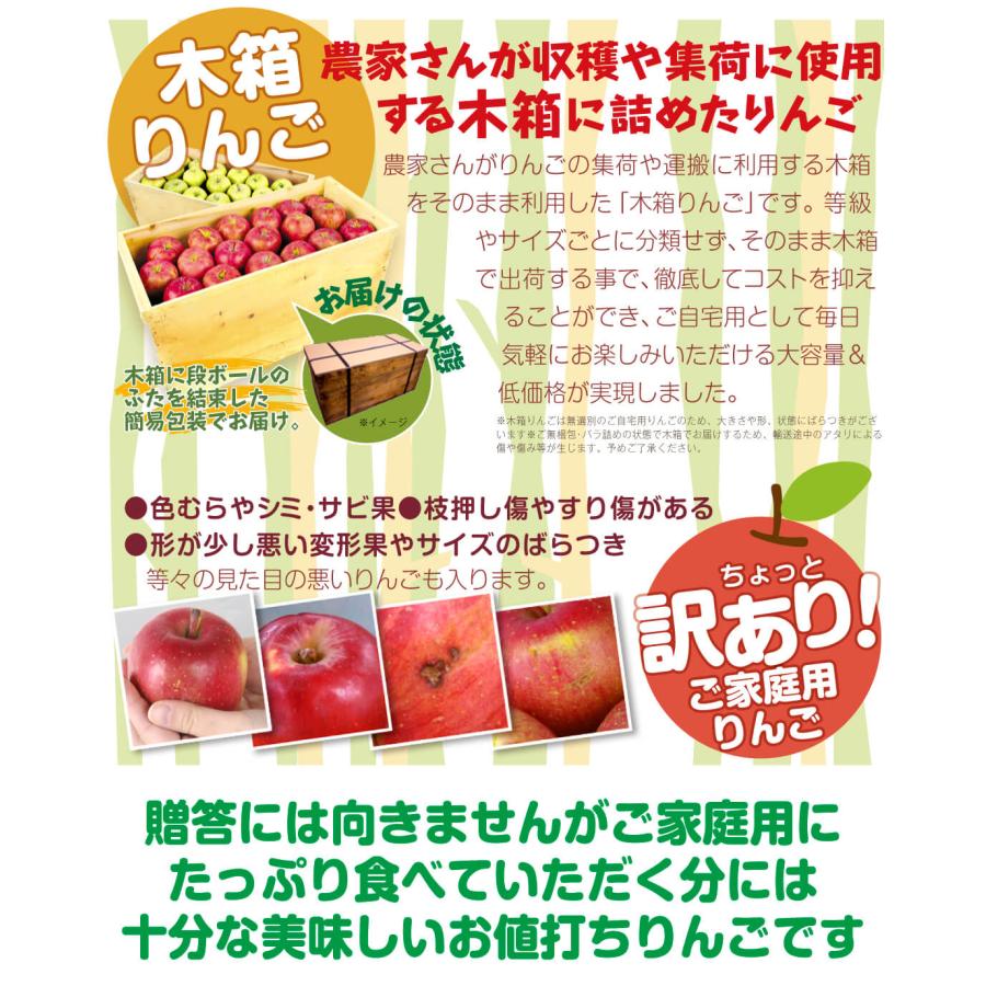 りんご 20kg 早生ふじ 木箱 青森産 数量限定 りんご箱 送料無料 食品