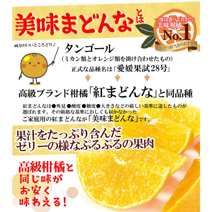 みかん 5kg 美味まどんな 愛媛産 送料無料 食品 : 食みらい・国華園