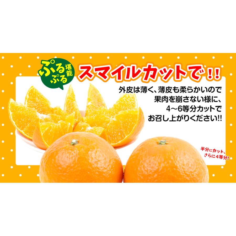 みかん 5kg 美味まどんな 愛媛産 あいか 紅まどんなと同品種 ご家庭用