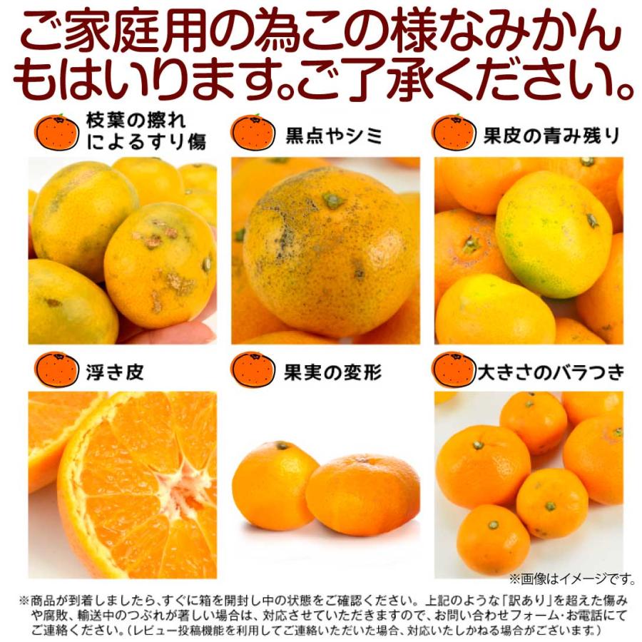 みかん 5kg 美味まどんな 愛媛産 あいか 紅まどんなと同品種 ご家庭用