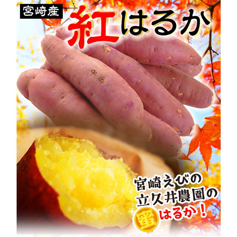 さつまいも 10kg 紅はるか 立久井農園の蜜はるか ご家庭用 宮崎産 送料
