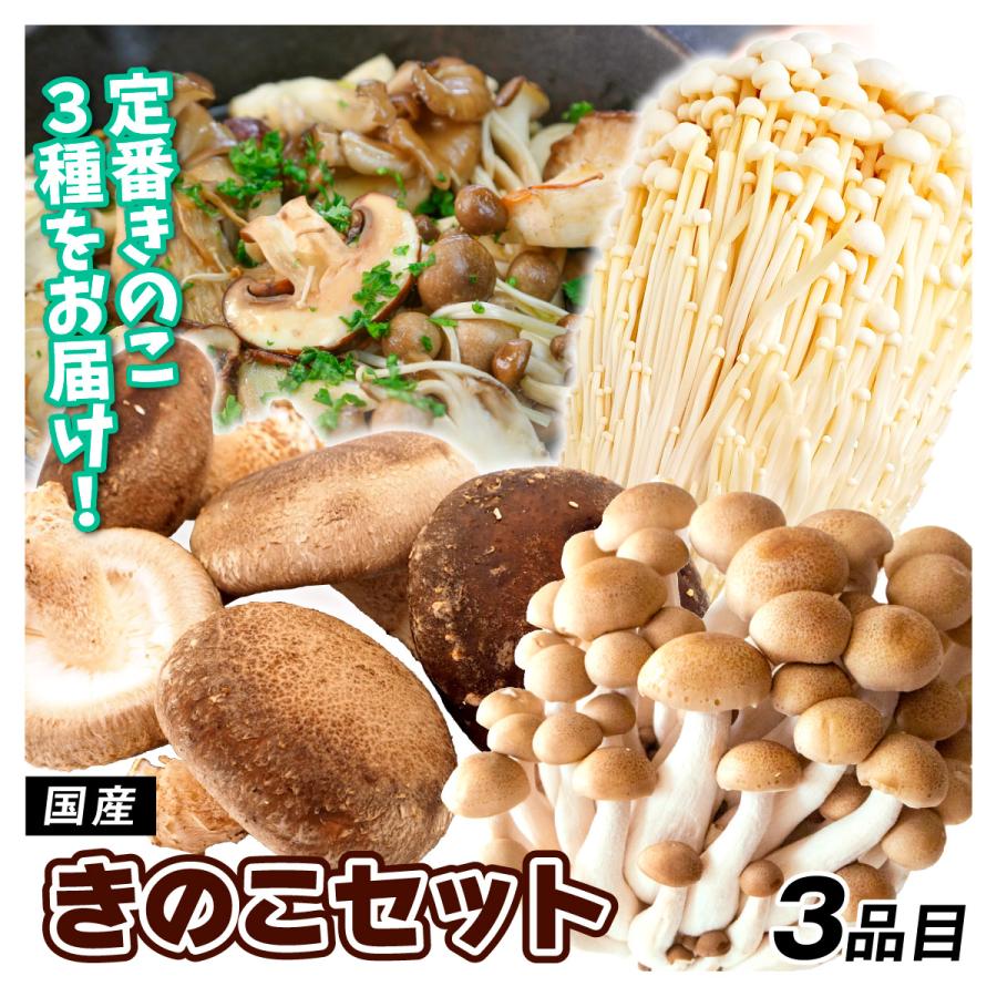 野菜セット きのこセット 3品目 1箱 国産 しめじ えのき しいたけ