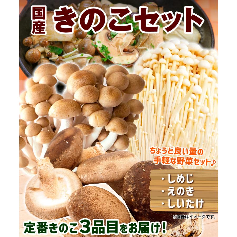 野菜セット きのこセット 3品目 1箱 国産 しめじ えのき しいたけ