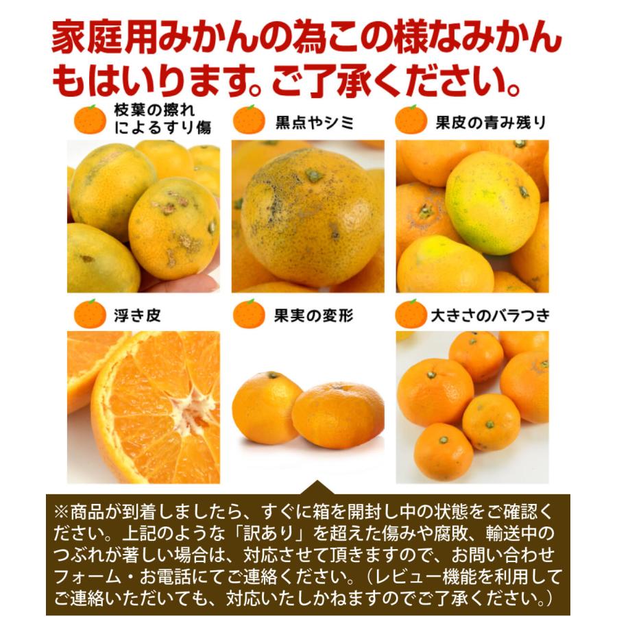 みかん 10kg みやもっちゃんのうまかみかん 熊本河内産 ご家庭用 熊本