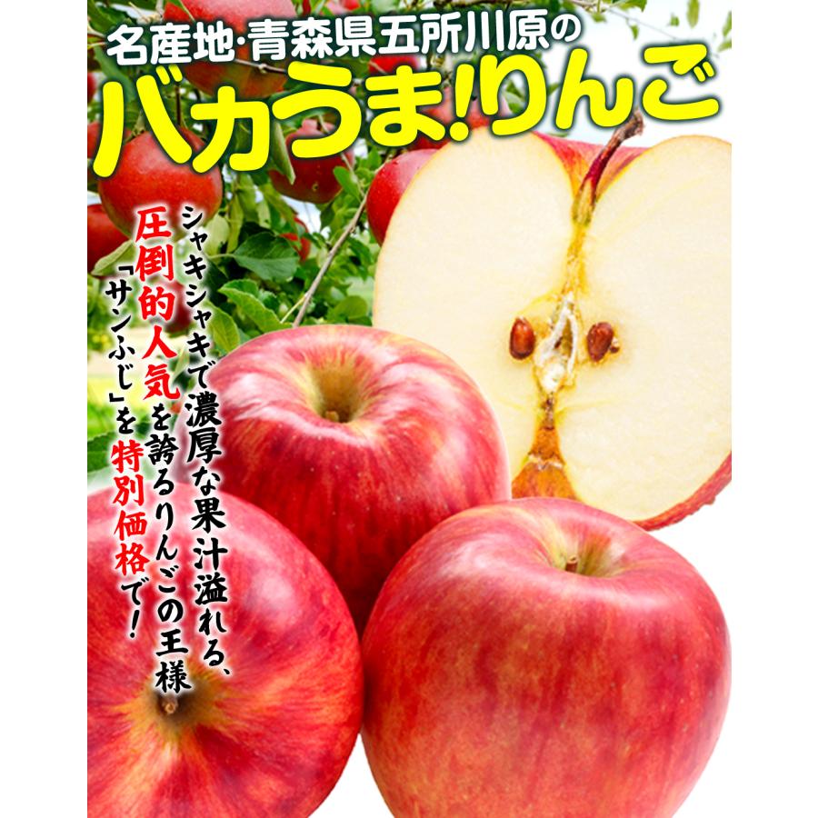 りんご 3kg 青森産 バカうまりんご サンふじ ご家庭用 送料無料 食品