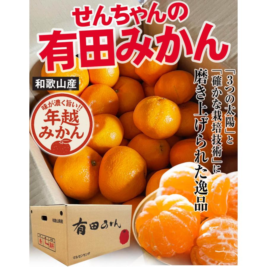 みかん 有田 10kg せんちゃんの有田みかん 和歌山産 温州 蜜柑 ミカン