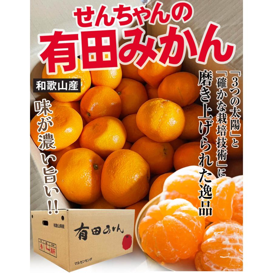 和歌山県有田産　マルチ栽培1級品みかん10kg 和歌山県有田産マルチ栽培1級品みかん10kg×2 5kg