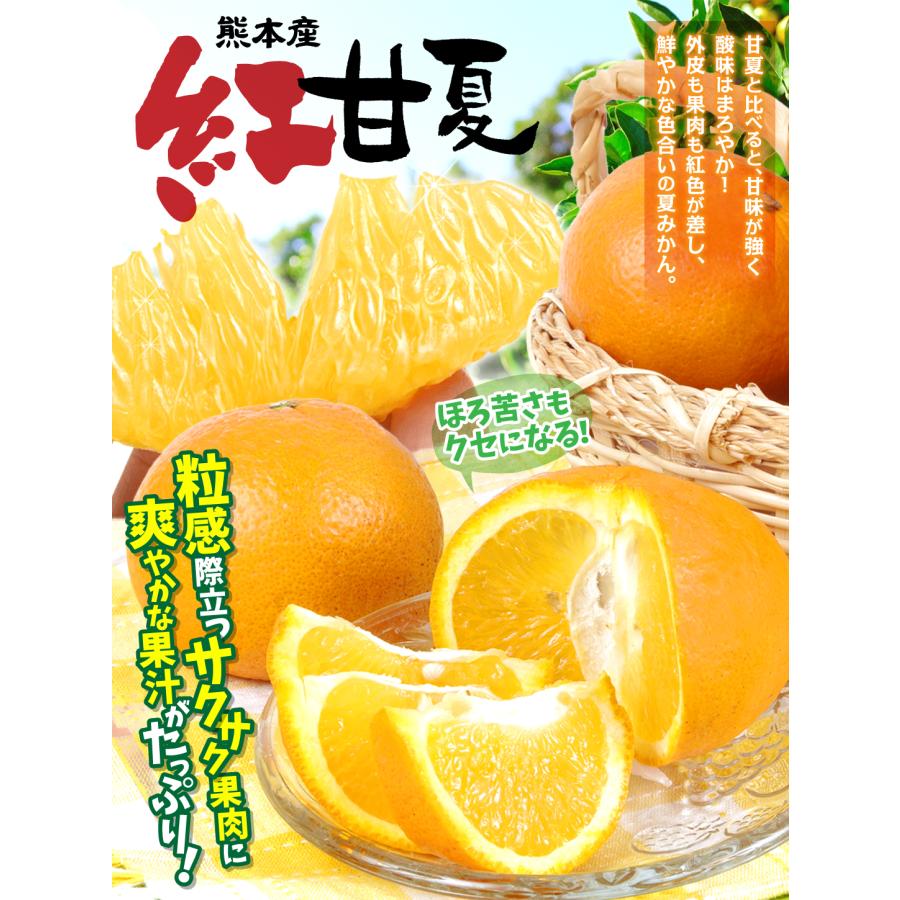 みかん 10kg 紅甘夏 熊本産 ご家庭用 甘夏 べにあまなつ 柑橘 果物
