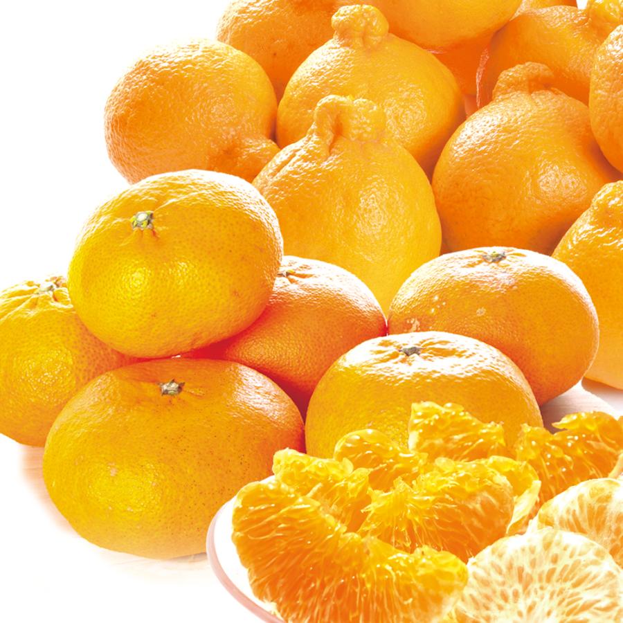 みかん 10kg （各5kg） 愛媛産 甘平 ＆ 熊本産 不知火オレンジ セット