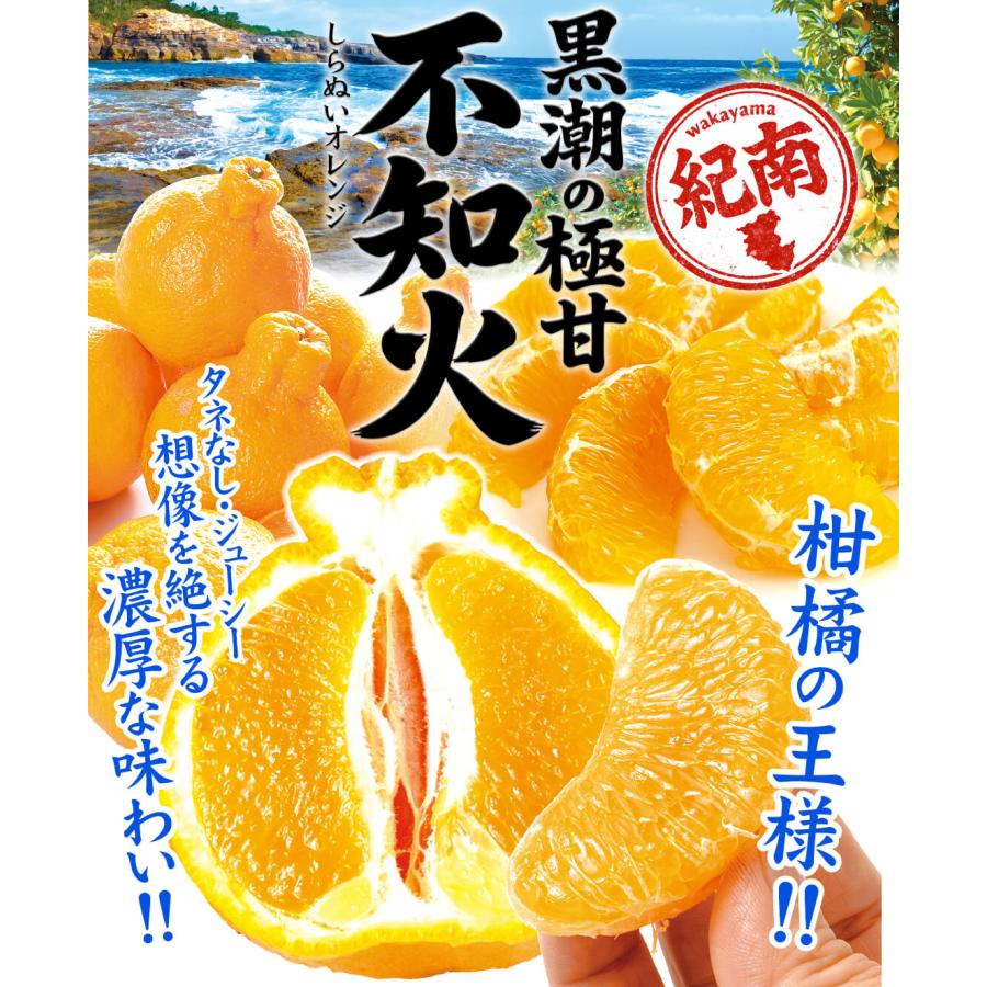 みかん 2kg 黒潮の極甘 不知火 しらぬい 和歌山産 紀南 名産地 ご家庭