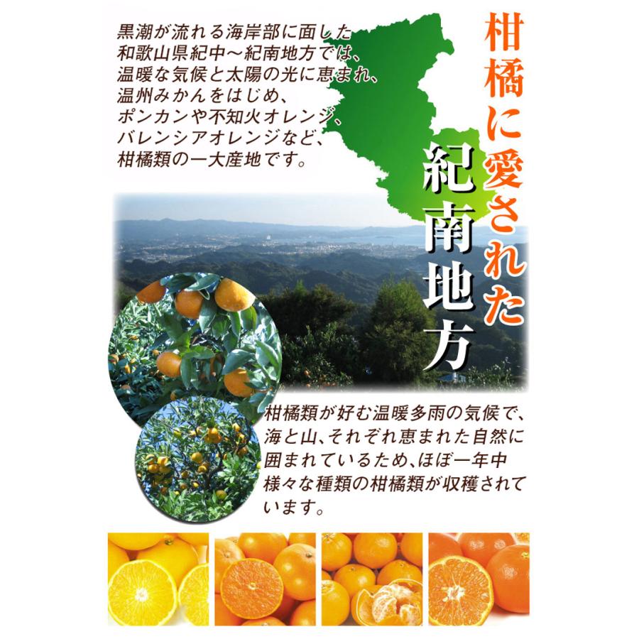 みかん 2kg 黒潮の極甘 不知火 しらぬい 和歌山産 紀南 名産地 ご家庭