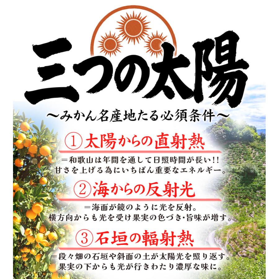 みかん 2kg 黒潮の極甘 不知火 しらぬい 和歌山産 紀南 名産地 ご家庭