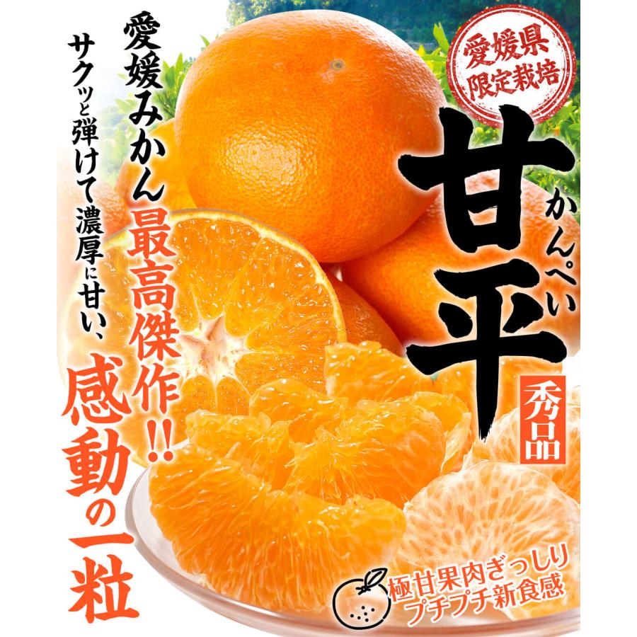 みかん 5kg 甘平 秀品 愛媛産 大特価 かんぺい カンペイ ミカン 送料