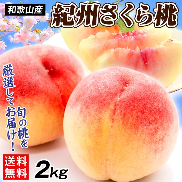 もも 2kg 紀州さくら桃 和歌山産 白鳳 白桃 ご家庭用 桃 ピーチ 果物 フルーツ 送料無料 食品（Yahoo!・食みらい・国華園）