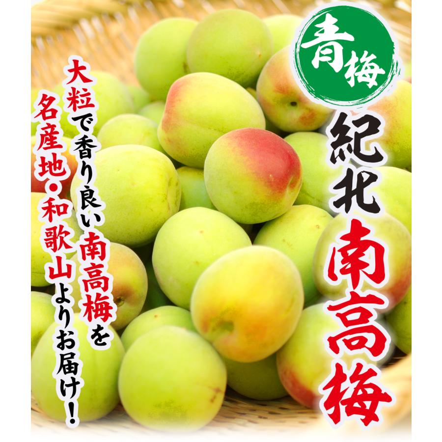 紀州・和歌山産 ”南高梅 青梅” ちょっと訳あり 3L 約10kg【予約 5月