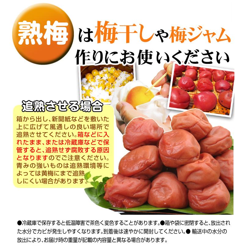 梅 10kg 紀南の南高梅 熟梅 和歌山産 ご家庭用 うめ 常温便 送料無料