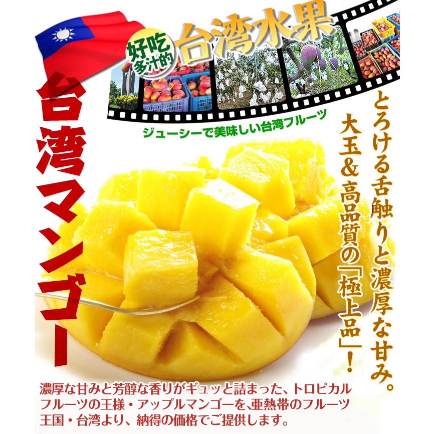 マンゴー 約2.5kg アップルマンゴー 台湾産 愛文マンゴー 太陽のたまご