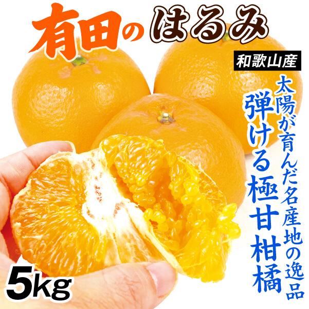 2026年3月】南柑20号のおすすめ人気ランキング - Yahoo!ショッピング