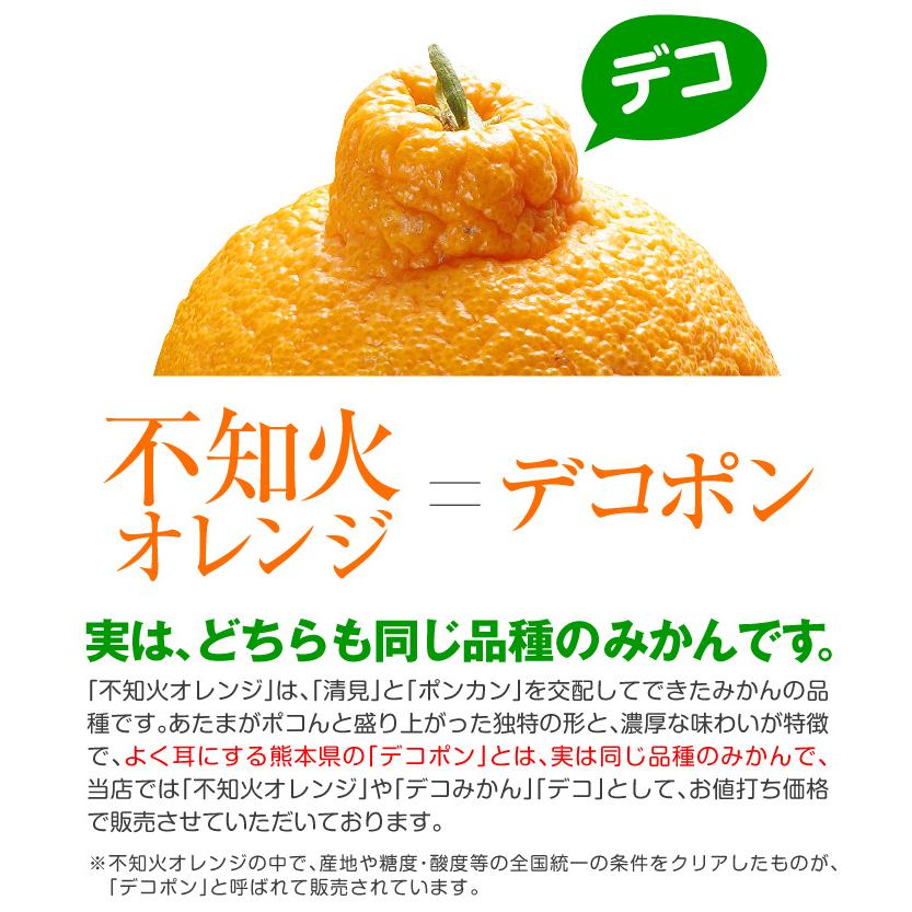 みかん 10kg 天草育ちのしらぬい 熊本産 不知火オレンジ しらぬひ