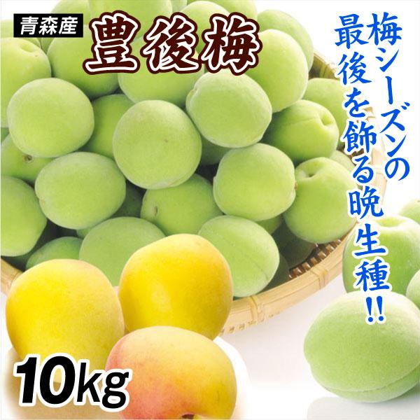 梅 10kg（5kg×2箱） 豊後梅 青森産 冷蔵便 送料無料 食品 : 食みらい