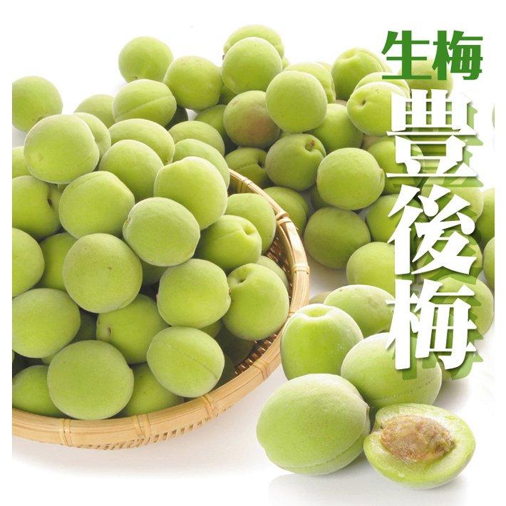 青森県産豊後梅　箱込み10キロ 梅 10kg（5kg×2箱） 豊後梅 青森産 冷蔵便 送料無料 食品 : 食みらい