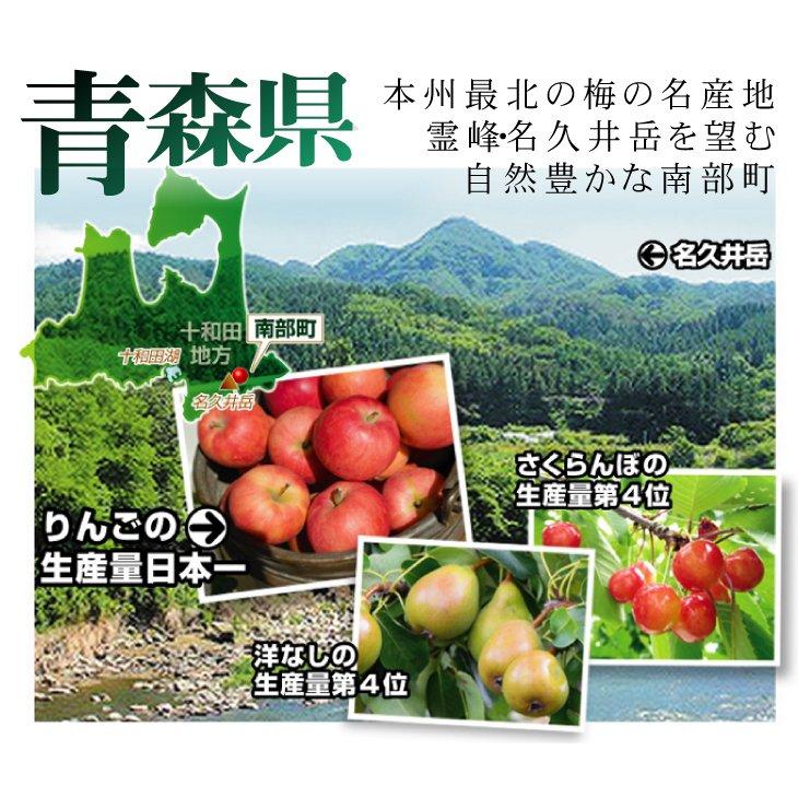 梅 10kg（5kg×2箱） 豊後梅 青森産 冷蔵便 送料無料 食品 : 食みらい