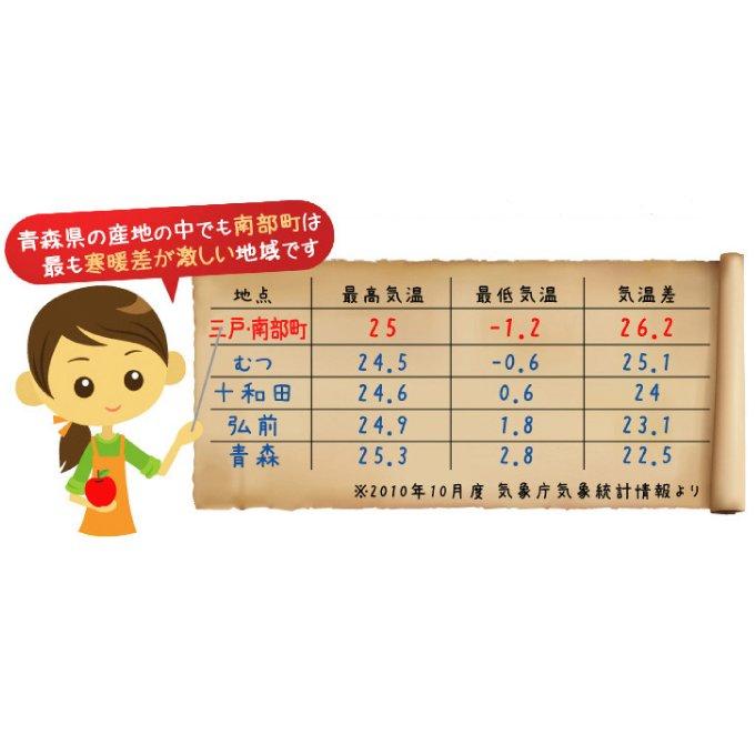 梅 10kg（5kg×2箱） 豊後梅 青森産 冷蔵便 送料無料 食品 : 食みらい