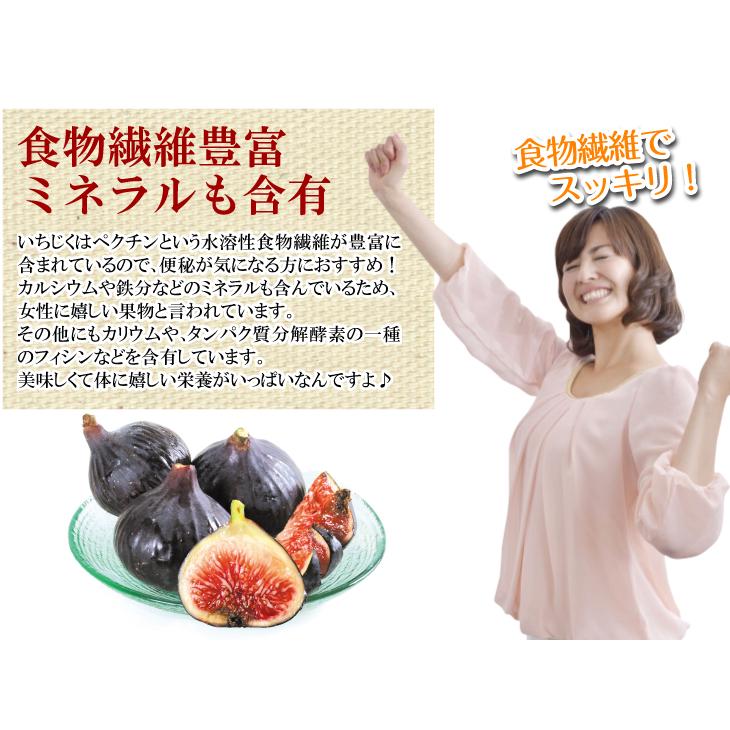 いちじく 約500g (250g×2パック) ビオレ・ソリエス 新潟産 希少品種 極