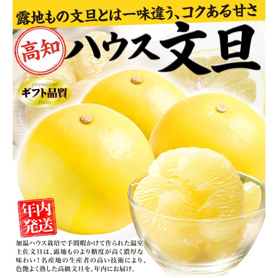 文旦　土佐文旦　ハウス栽培　　37 みかん 高知産 ハウス文旦 6〜8玉 化粧箱 土佐文旦 ぶんたん 冬ギフト