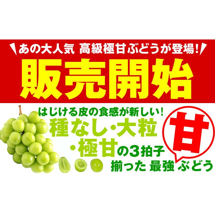 ぶどう 約600g (約300g×2パック) シャインマスカット 山梨産 ご家庭用