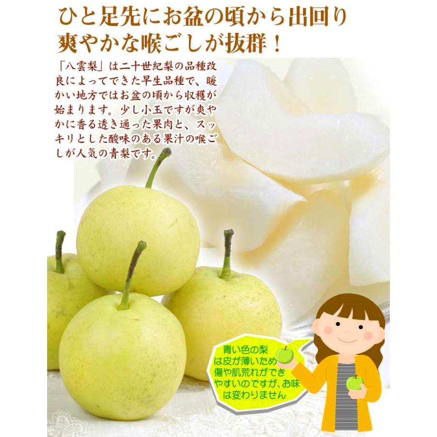 青森県産 八雲 梨 10kg 梨 青森産 八雲梨 4kg(10〜22玉) ご家庭用 送料無料 食品 国華園 : 食