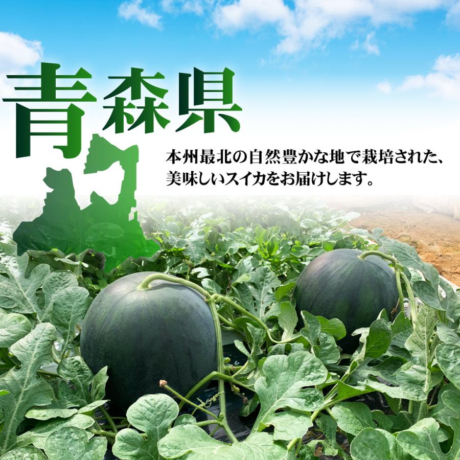 国華園 スイカ 1玉 ゴールデンジャック 青森産 贈答すいか 送料無料