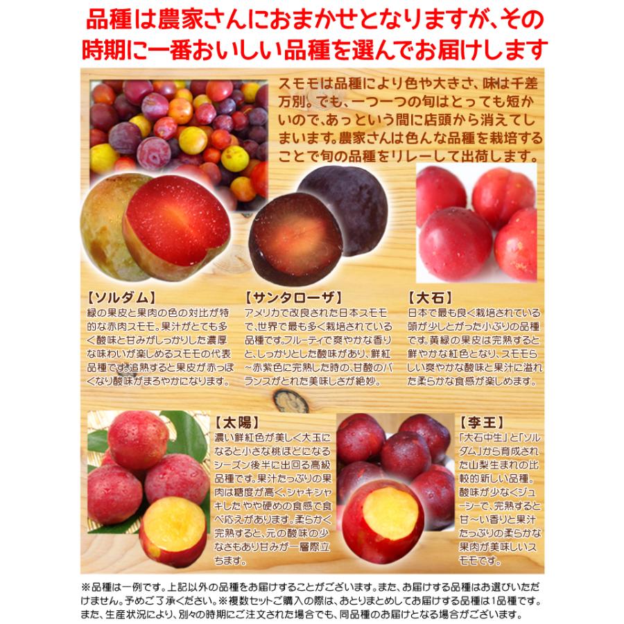 もも すもも 800g 熊本産 品種 おまかせ プラム 皮ごとまるかじり