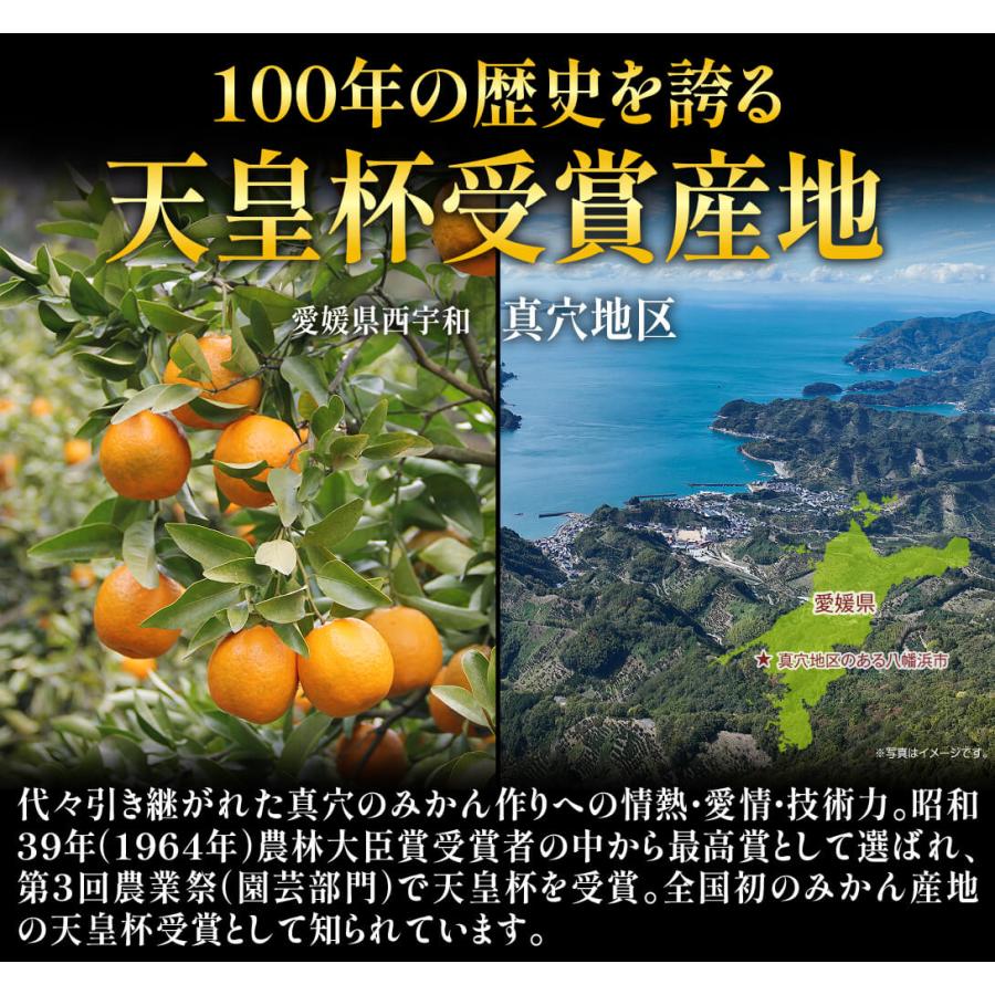 みかん 愛媛産 真穴みかん 3kg ご家庭用 送料無料 ギフト 天皇杯受賞