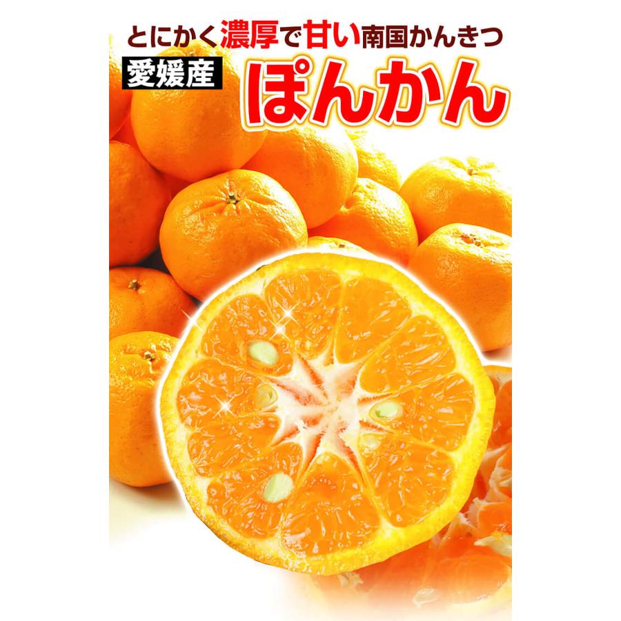 みかん 愛媛産 大特価 ぽんかん 10kg ご家庭用 送料無料 ポンカン 食品